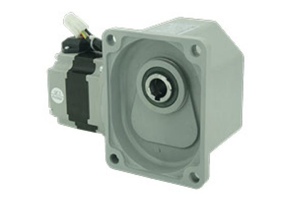 SF22-200W永磁SGF直角轴减速电机